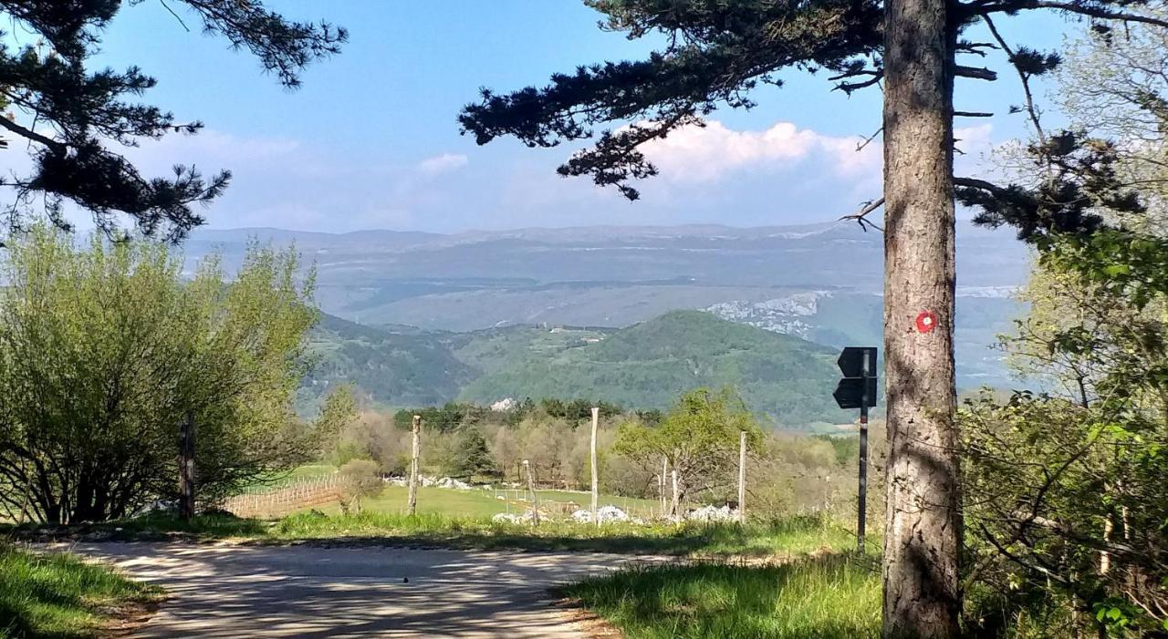 Rural Apartment Carolina Zrenj 외부 사진