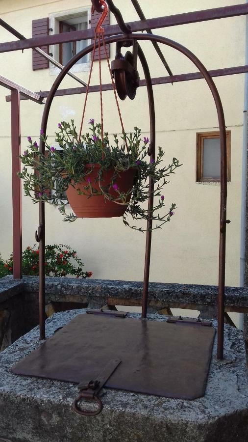 Rural Apartment Carolina Zrenj 외부 사진