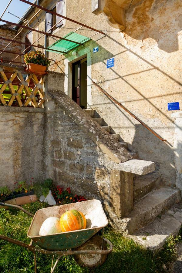 Rural Apartment Carolina Zrenj 외부 사진