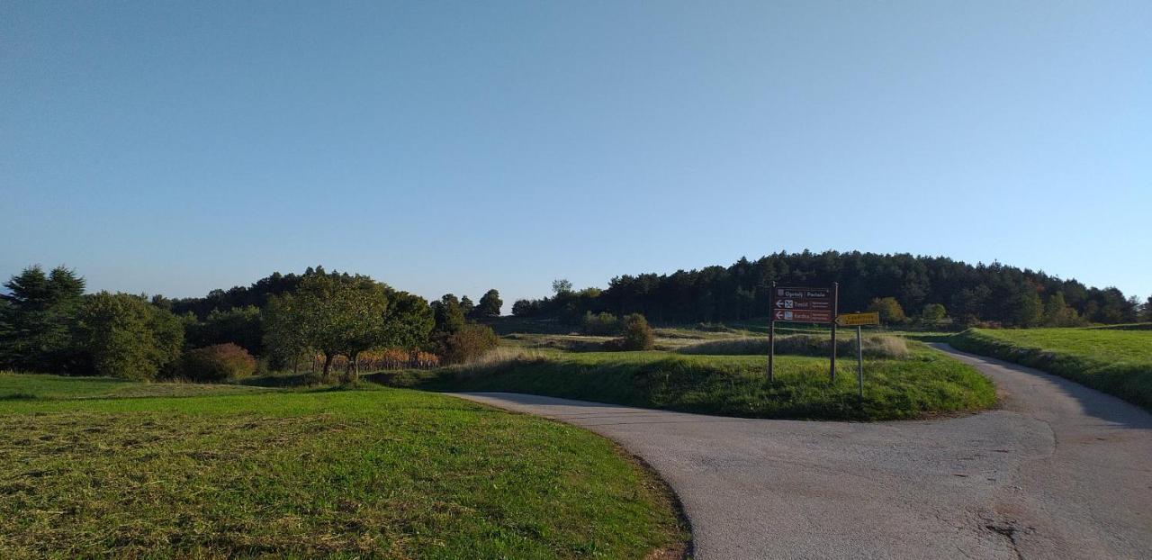 Rural Apartment Carolina Zrenj 외부 사진